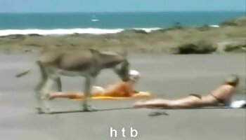 نوجوان تنگ ، گی چت شهوتناک ناتسوکی شینو ، در هر سوراخ خود احساس خروس می کند