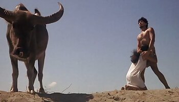 وحشی bukkake fuck شهوت چت party orgy
