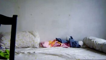 حشری-گربه-زنده